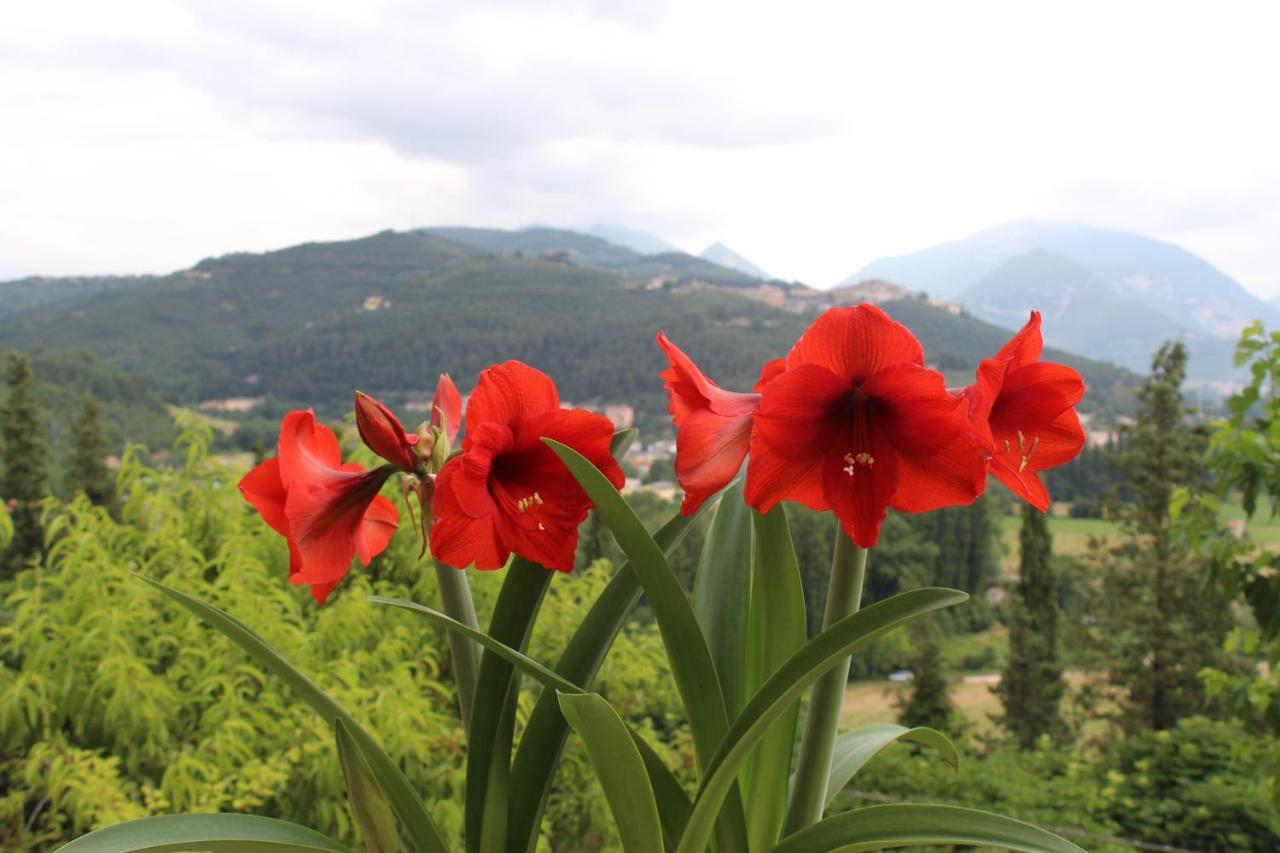 Il Castello Sul Lago Arrone Exterior foto